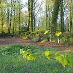 Countryside Caravan