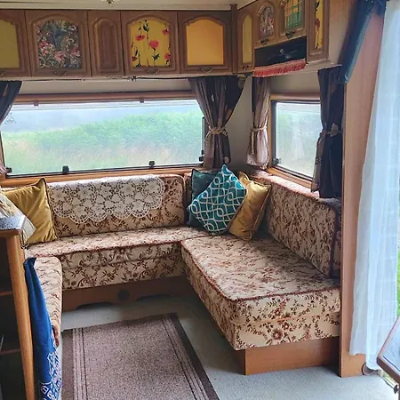 Fern Meadow Caravan 1 Camping