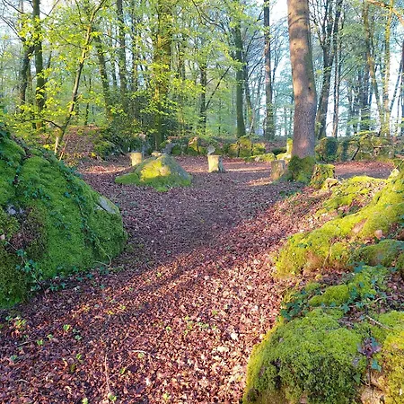 Fern Meadow Caravan 1 5*