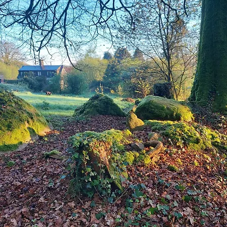 Camping Countryside Caravan