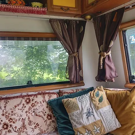 Fern Meadow Caravan 1 Camping