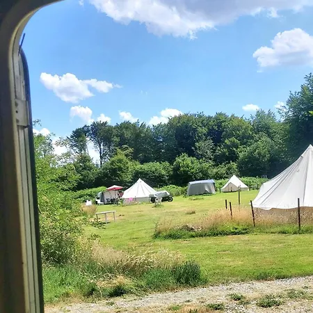 Fern Meadow Caravan 1 Camping
