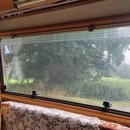 Fern Meadow Caravan 1 Camping Saint-Michel-de-Montjoie