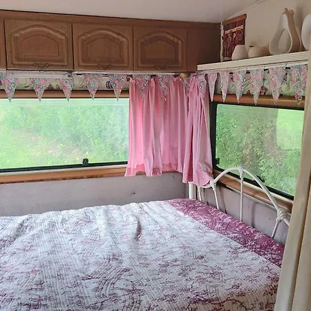 Fern Meadow Caravan 1 Camping