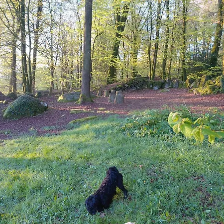 Fern Meadow Caravan 1 5* Saint-Michel-de-Montjoie