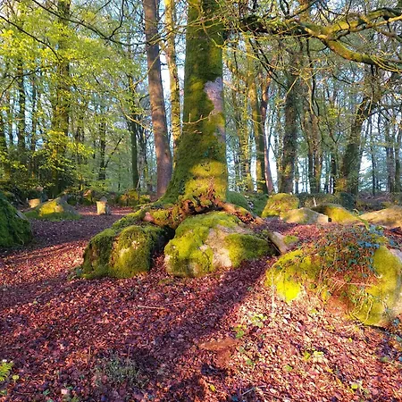 Countryside Caravan Saint-Michel-de-Montjoie