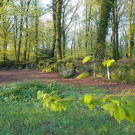 Fern Meadow Caravan 1