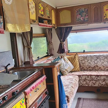 Fern Meadow Caravan 1 Camping