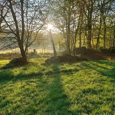 Fern Meadow Caravan 1 Camping Saint-Michel-de-Montjoie