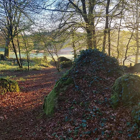 Countryside Caravan Saint-Michel-de-Montjoie