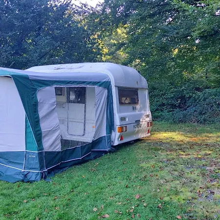 Fern Meadow Caravan 1 Camping 5*