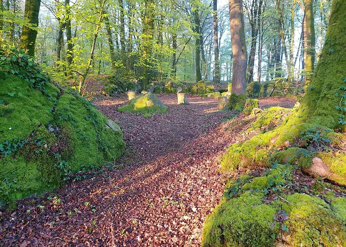 Countryside Caravan 5*