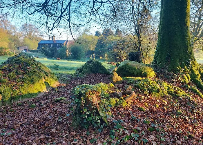 Parque de Campismo Countryside Caravan