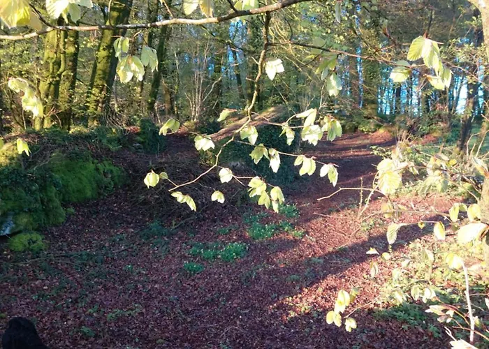 Countryside Caravan 5* Saint-Michel-de-Montjoie