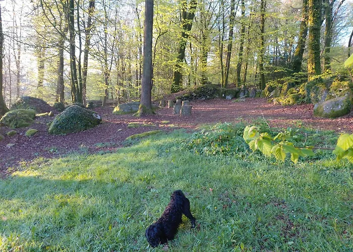 Countryside Caravan 5* Saint-Michel-de-Montjoie