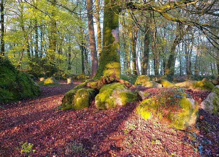 Countryside Caravan Saint-Michel-de-Montjoie