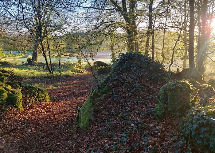 Countryside Caravan Saint-Michel-de-Montjoie